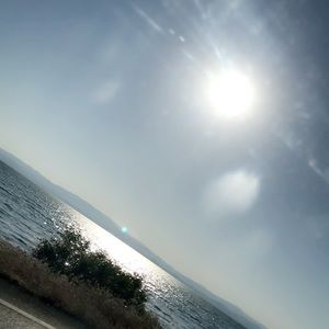 Meet your Posher, Elizabet